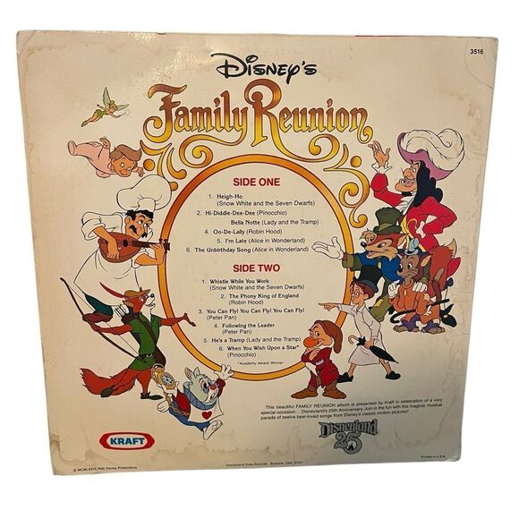 VINTAGE DISNEYS FAMILY REUNION LP 12” SOUNDTRACK W SING ALONG BOOK VINYL RECORD - Picture 3 of 7